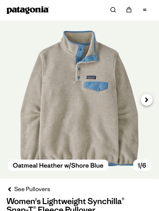 Patagonia Sweaters - Patagonia Light Gray Fleece Pullover with Blue Trim